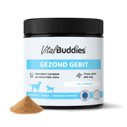 Gezond Gebit