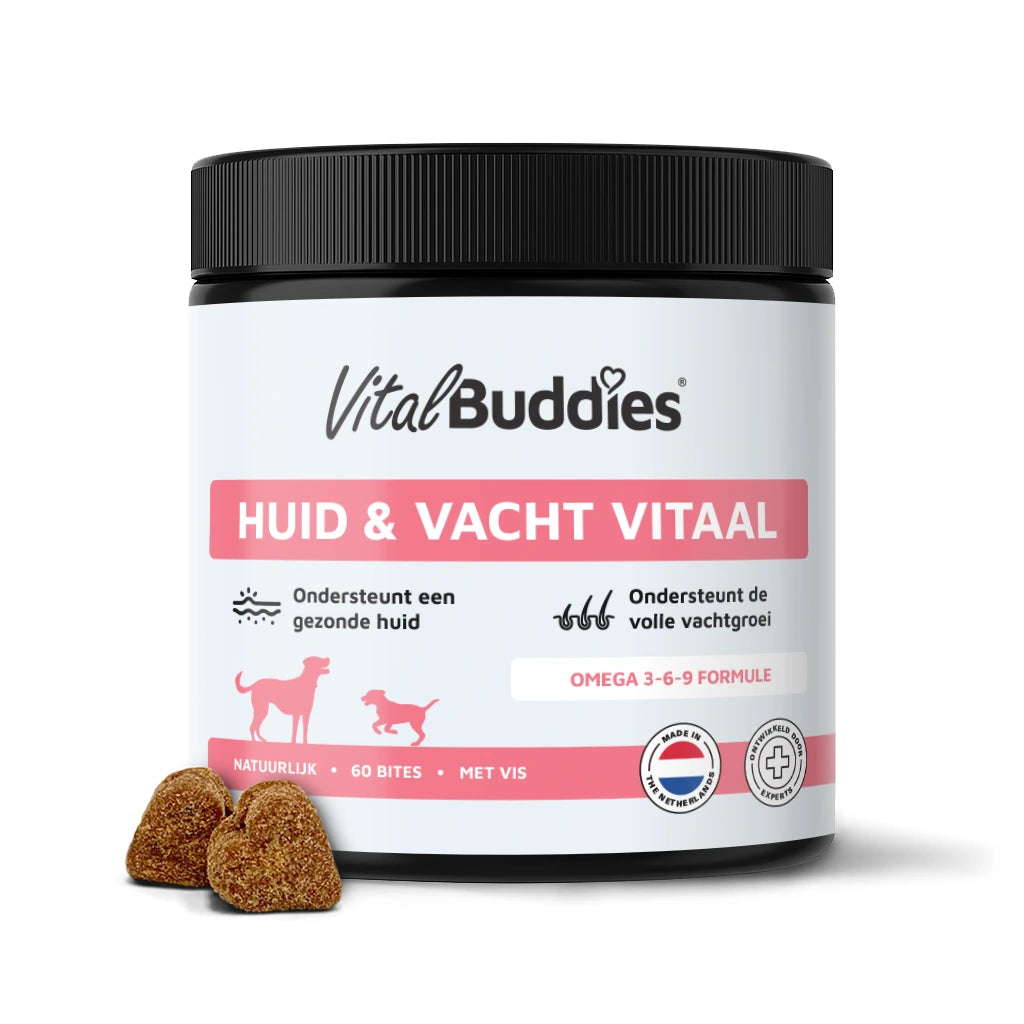 Huid & Vacht Vitaal - 60 snoepjes