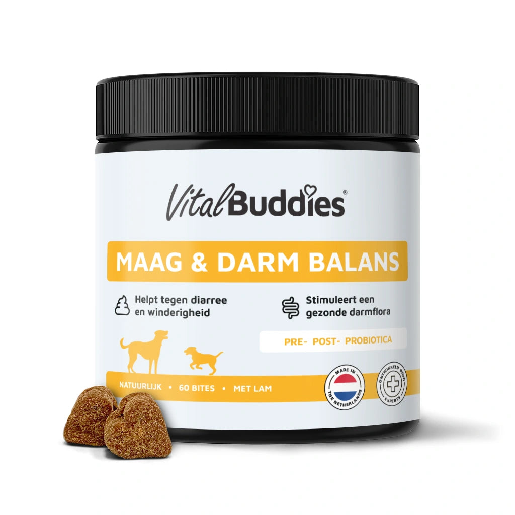 Maag & Darm Balans - 60 snoepjes