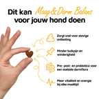 Maag & Darm Balans