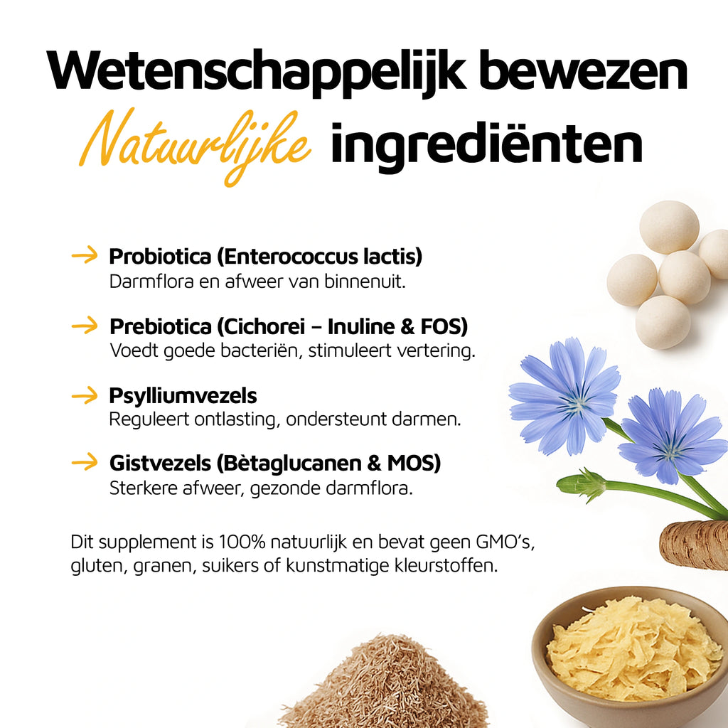 Maag & Darm Balans