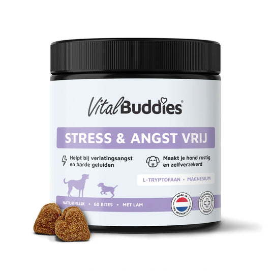 Stress & Angst Vrij